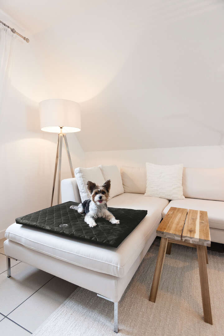 petlando Hundematte Starlight